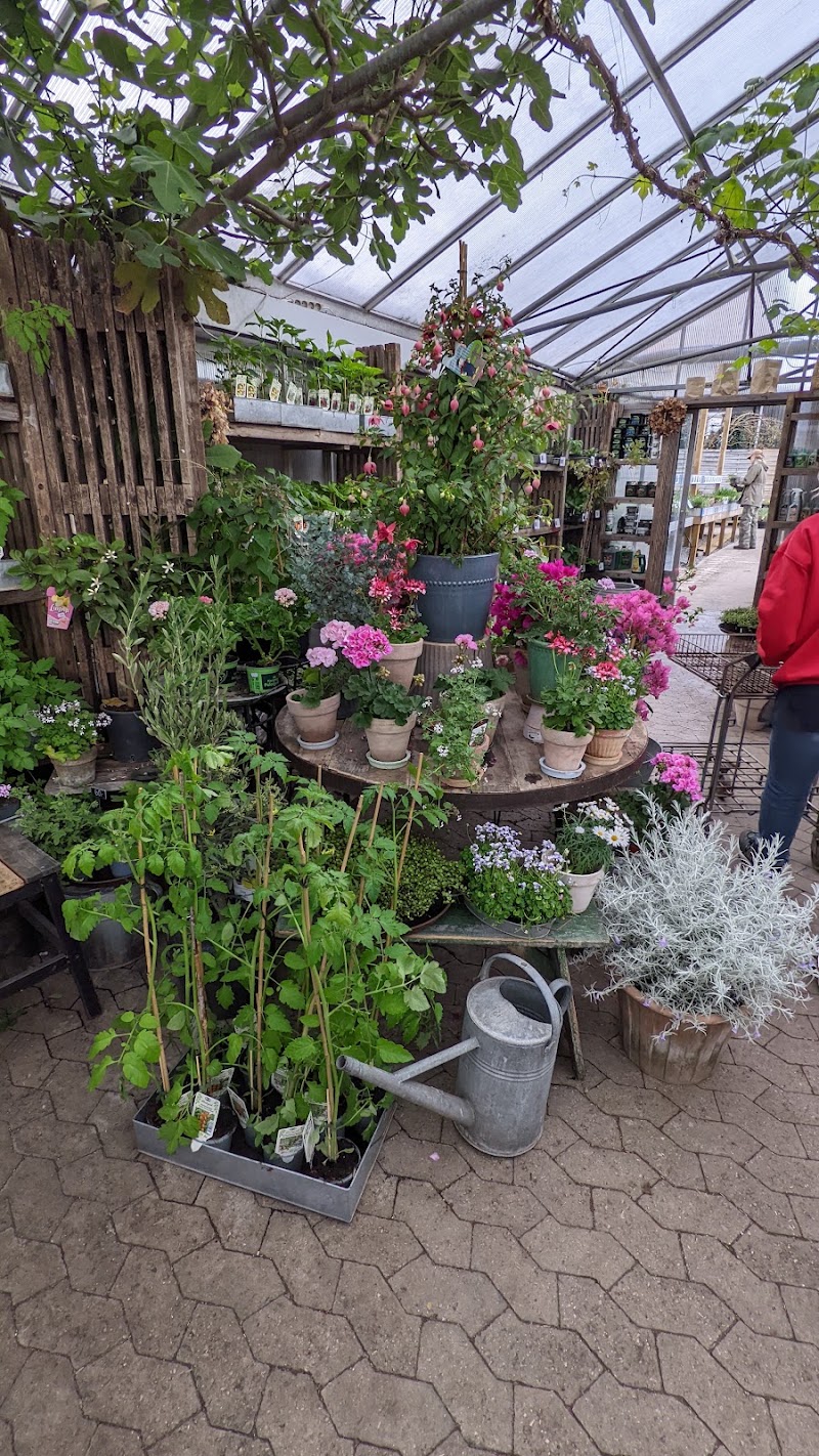 Havero Planteskole